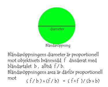 Beskrivning: Bild4.jpg